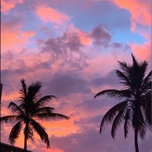 Meet your Posher, Taryn